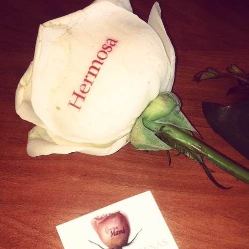 Flores Impresas, es una empresa innovadora en entregar un servicio de flores y regalos.