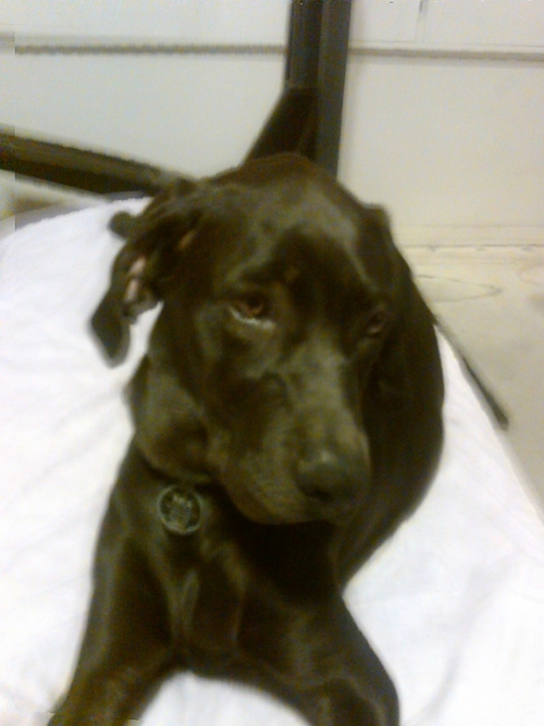 WGilkey's profile picture. 