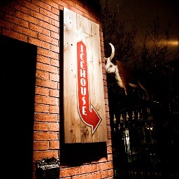 Icehouse Montreal, Nick Hodge