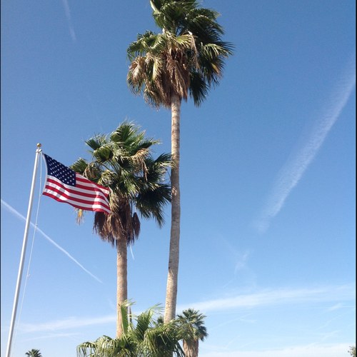 Bege16's profile picture. Worried about our country. Keep the faith!