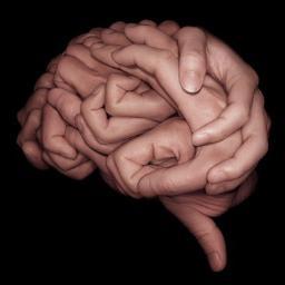 Cantarell4's profile picture. Neuroscientist/ Cog. scientist studying memory with electrodes & lasers. Likes linguistics, philosophy of mind, AI, Plump Helmets at embark & frozen brains