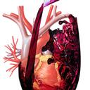 José Antonio Gálvez  - @GlvezJos - Twitter