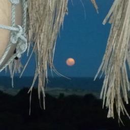 ElCocalcamping's profile picture. Un lugar para disfrutar, descansar y soñar...
No te conformes con que te lo cuenten... tenés que vivirlo!!!