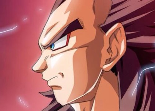 I am the prince of all saiyans !