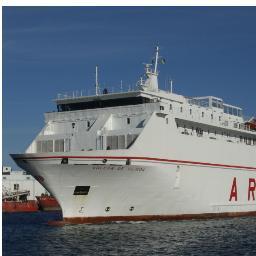 el_ntn406's profile picture. 