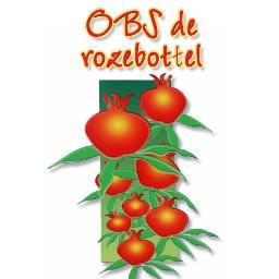 obsderozebottel's profile picture. Basisonderwijs