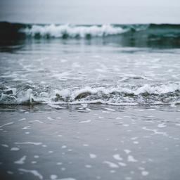 carrotchicken's profile picture. Hello,hello.
Anybody out there?
#TeamKlaus #TVD #Directioner #Parawhore#Mixer#Sheerio#SPNFamily