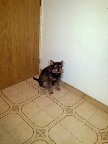 aDnil_Qr's profile picture. ¡Ayúdame a estar feliz! 29/03/14