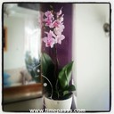 Bennett Len - @BennettLen272 - Twitter