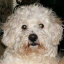 pam spain - @pms12962 - Twitter