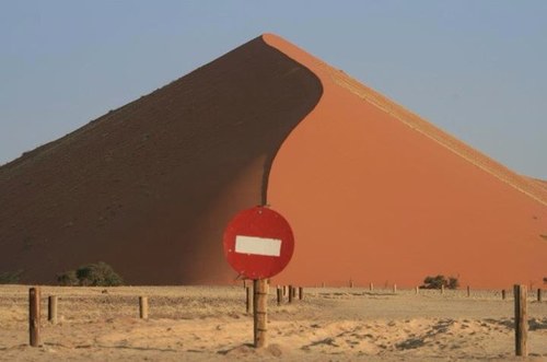 junxgl's profile picture. 