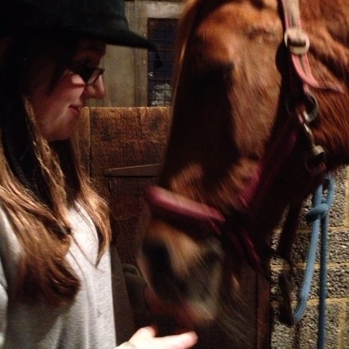 Still at school yet all I think about is riding! I love you Ferguson, you're the best little cob :-) I follow back.