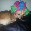 Ruth McDaniel - @RuthMcDaniel75 - Twitter