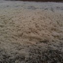 Steve Rees - @steverees01 - Twitter