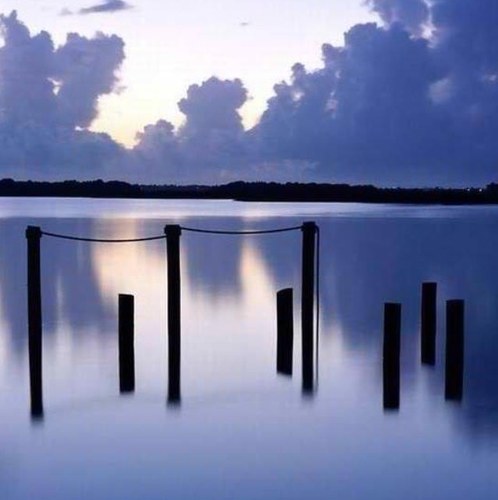 BardotBg's profile picture. 