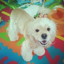 Bryan Forrest - @BryanForrest404 - Twitter