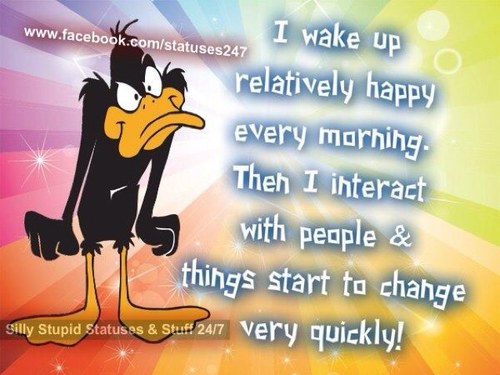 Mrschico10's profile picture. 