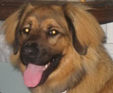 Nevadacityadvoc's profile picture. 