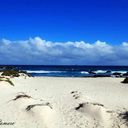 Antonio Melone - @MeloneAntonio - Twitter