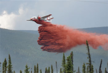 Firelab1's profile picture. Fire Management Systems Laboratory
Faculty of Forestry
University of Toronto