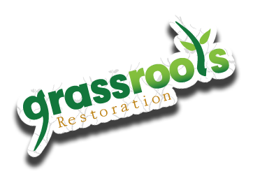 Team Grassroots