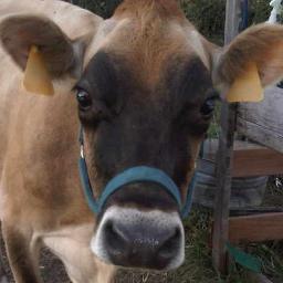 Jesus follower, GWE's wife, mother of two wonderful men, Grandma to 4, Great-Grandmother to 6, writer, history student, raw milk and farm raised meat advocate.