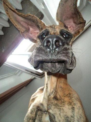 good_jokes099 Profile Picture