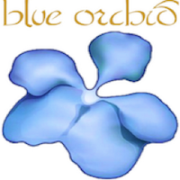 Blue Orchid (@blueorchidbeds) 's Twitter Profile