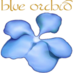 Blue Orchid (@blueorchidbeds) Twitter profile photo Blue Orchid (@blueorchidbeds) Twitter profile photo