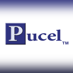 PucelEnterprise Profile Picture