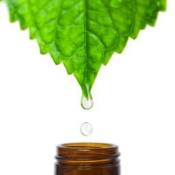 MexNaturopatia's profile picture. 