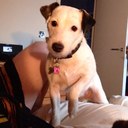 Holly Wakefield - @wakkustheone - Twitter