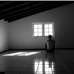 PQP_l_'s profile picture. 