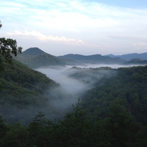 rebacct's profile picture. 