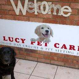 Lucy Pet Carer offers; dog day care, dog boarding, puppy training, dog grooming and a cattery on site. We love your pets as much as you do.