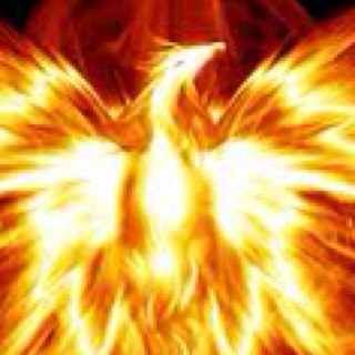 The one and only one of my kind. Hunted for my firey feathers. Just trying to make it home. #Rp