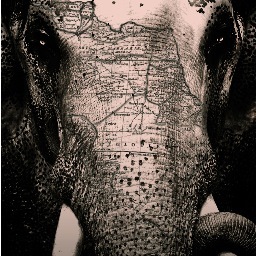 SACRED ELEPHANT migrates from NYC to the Los Angeles stage at the renowned Odyssey Theatre.
24th July to 17th August 2014. http://t.co/KyLWO4iKNI