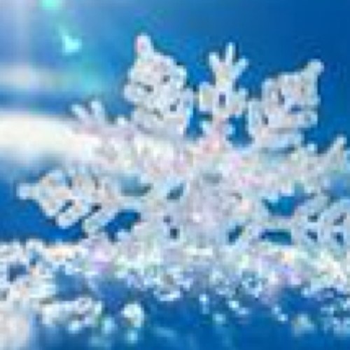 snowflow4lyfe's profile picture. 