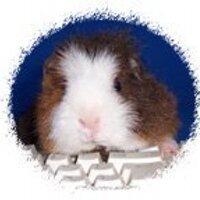 Computia (@computia) 's Twitter Profile