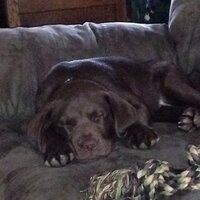 Beth Bopp (@bopper83) 's Twitter Profile