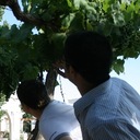 Juan David Baires - @juandabaires - Twitter