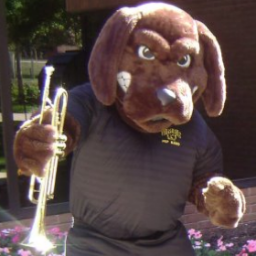 UMBC Down and Dirty Dawg Band