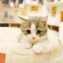 本が好き。 読んだ本を中心につぶやきます。その他会社のこととか日常的なこと。
 有益な情報を共有しあいましょう！
100％リフォローします。フォローオナシャス ＃読書＃相互フォロー