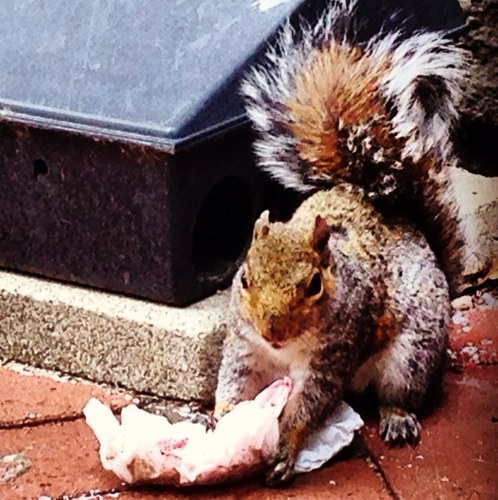 lkn138's profile picture. 