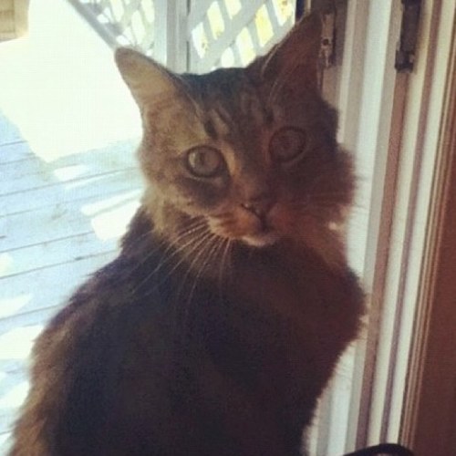 jmboo43's profile picture. 