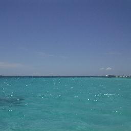 mairuiz1's profile picture. abogado LOPNNA