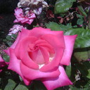 Jane Rigler - @claritynow1 - Twitter