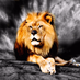 Dami romanov (@romanjrf) Twitter profile photo Dami romanov (@romanjrf) Twitter profile photo
