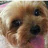 hoshileen's profile picture. くだいらない事をただ呟くCGクリエイター