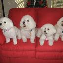 Marci Randle - @MarciRandle - Twitter